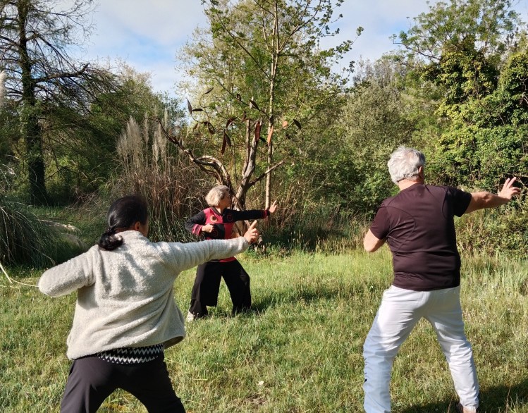 mouvement de Q iGong "tirer à l'arc et viser l'aigle" 