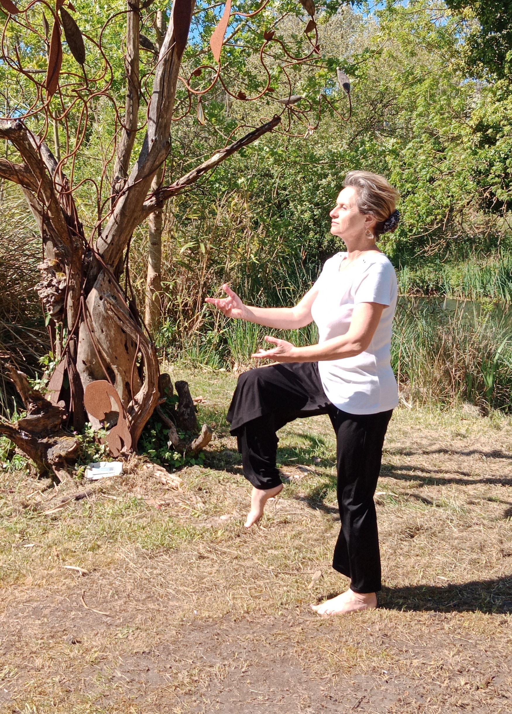 pratique du Qi Gong : verticalité avec les arbres
