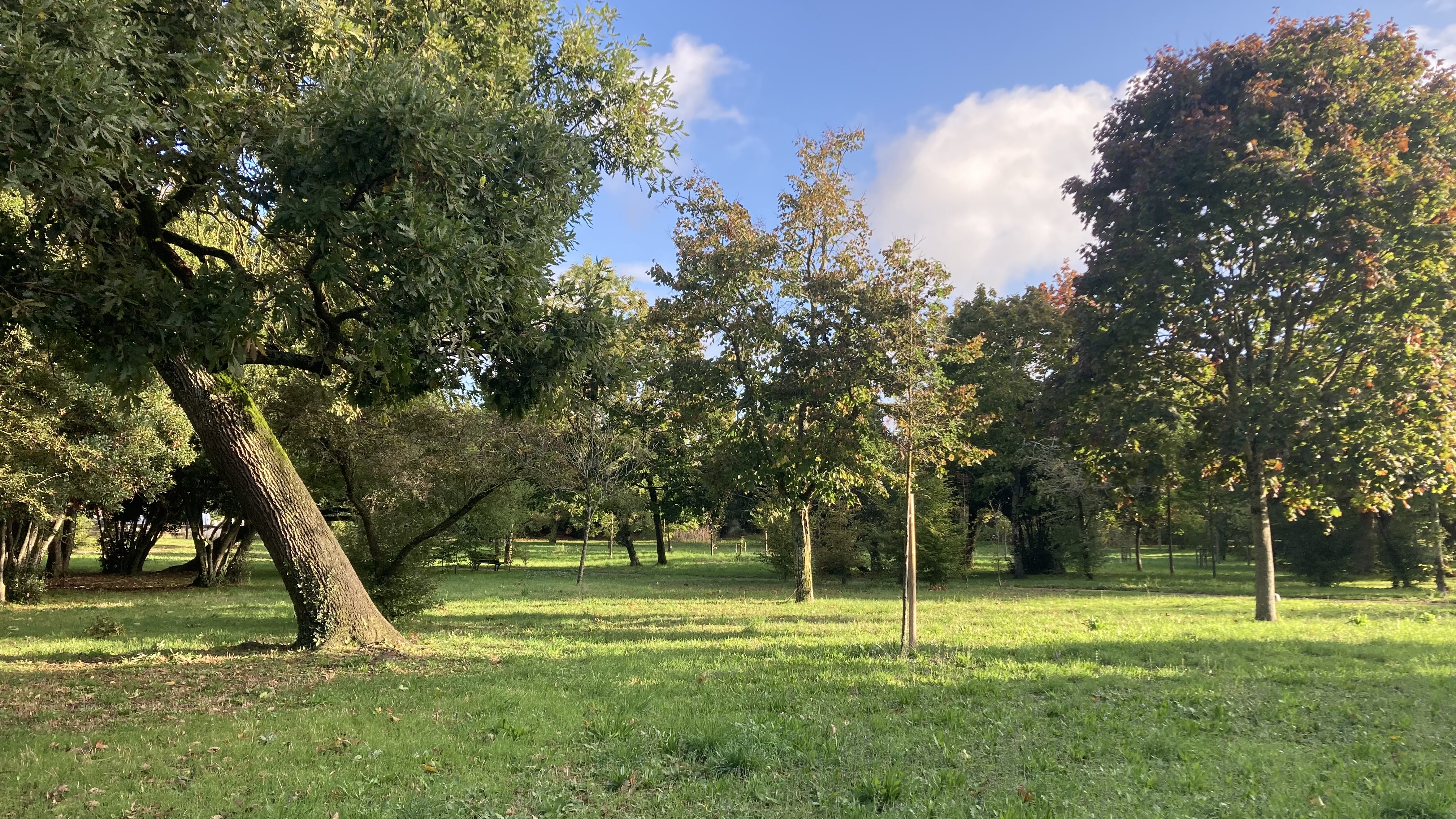 Parc municipal, lieu du cours de 10h30